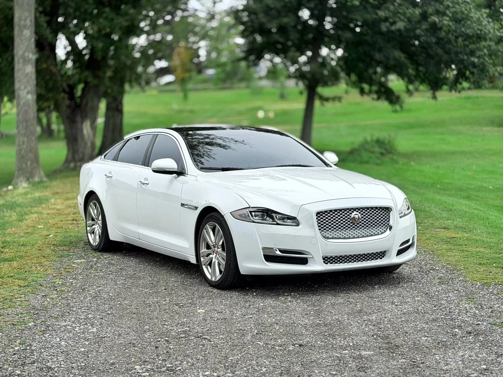 Used 2017 Jaguar XJ L Portfolio AWD/4WD image 4