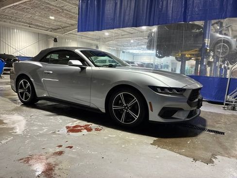 Used 2024 Ford Mustang Premium RWD image 10