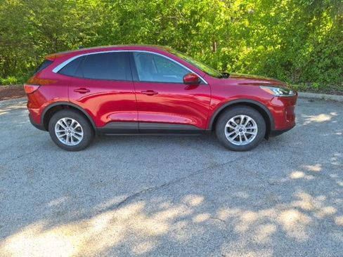 Used 2025 Ford Escape ST-Line Select AWD/4WD image 2