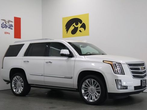 Used 2019 Cadillac Escalade Platinum AWD/4WD image 1