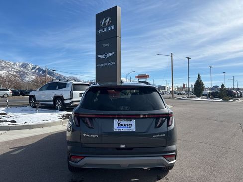 New 2026 Hyundai Tucson Limited image 6