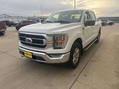Used 2023 Ford F150 XLT w/ Equipment Group 302A High image 4