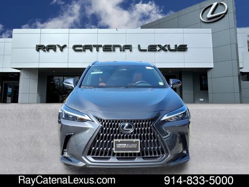 Used 2024 Lexus NX 350 AWD w/ Cold Area Package image 2