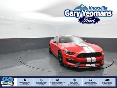 Used 2016 Ford Mustang Shelby GT350 w/ Technology Package