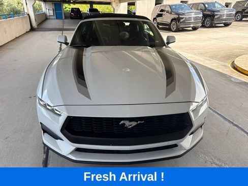 Used 2024 Ford Mustang Premium w/ Wheel & Stripe Package RWD image 16