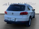 Used 2012 Volkswagen Tiguan SE image 5