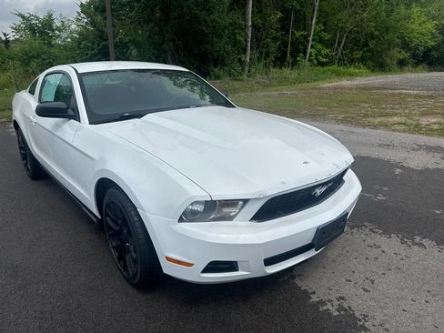 Used 2010 Ford Mustang Coupe RWD image 3