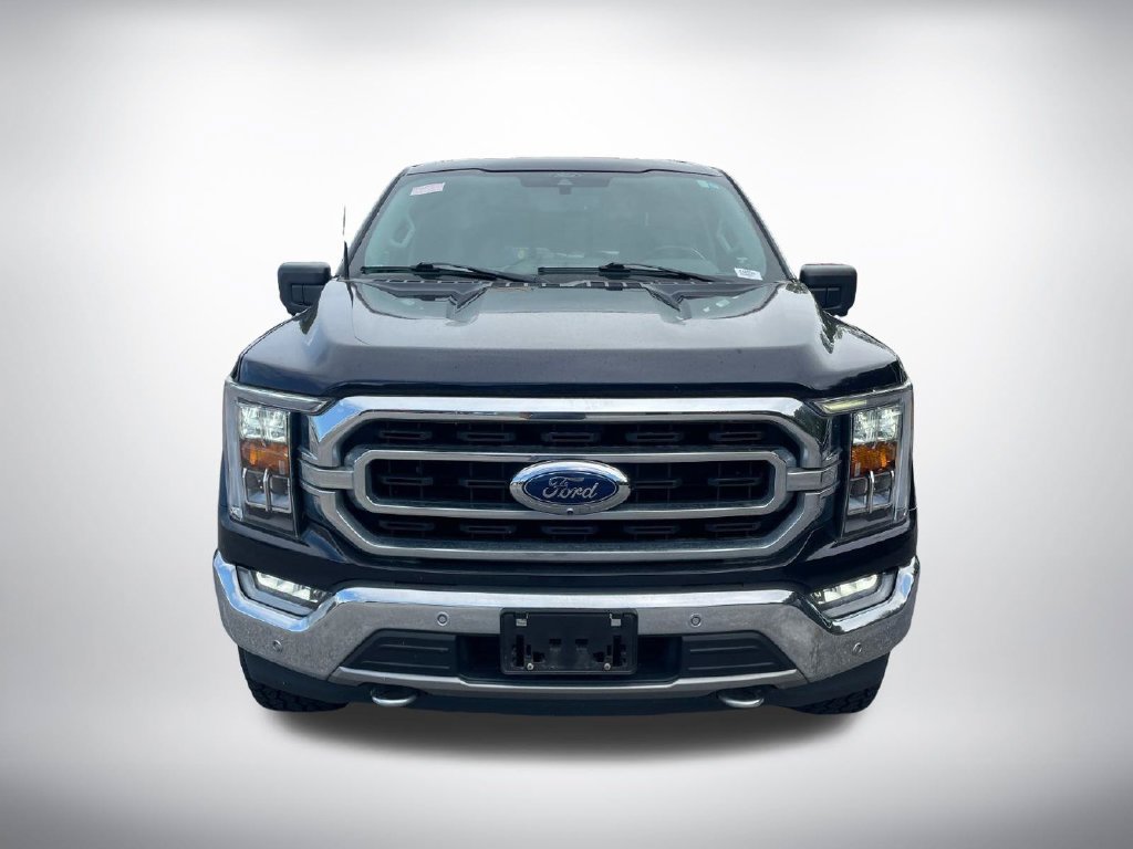 Used 2021 Ford F150 XLT w/ Equipment Group 302A High AWD/4WD image 8