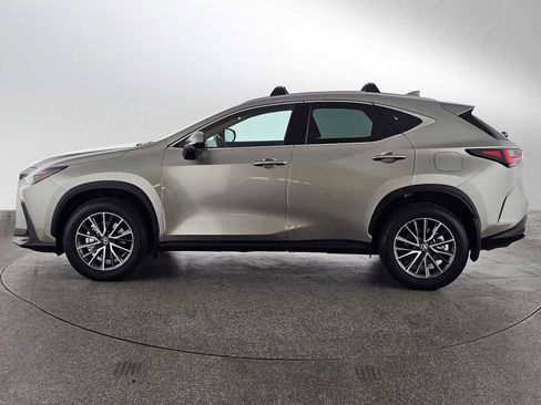 Certified 2025 Lexus NX 350 AWD w/ Cold Area Package image 6