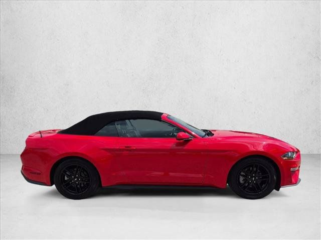 Used 2019 Ford Mustang Premium RWD image 4