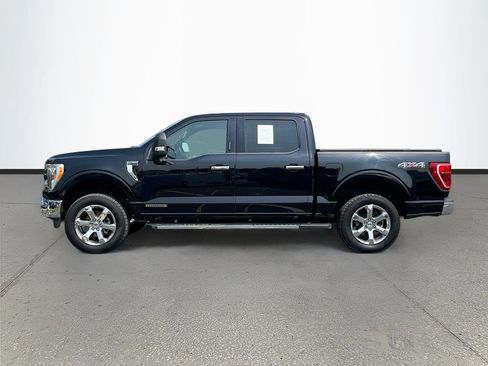 Used 2021 Ford F150 XLT w/ Equipment Group 302A High AWD/4WD image 4