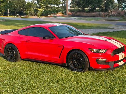 Used 2016 Ford Mustang Shelby GT350 w/ Technology Package RWD image 1