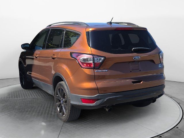 Used 2017 Ford Escape SE w/ SE Sport Appearance Package AWD/4WD image 3