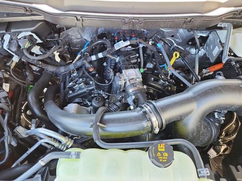 New 2025 Ford F150 XLT w/ Equipment Group 303A High image 20