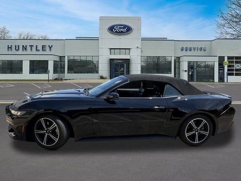 Used 2024 Ford Mustang Premium RWD image 6