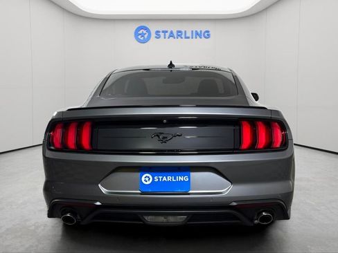 Used 2023 Ford Mustang Premium w/ Mustang Nite Pony Package image 7