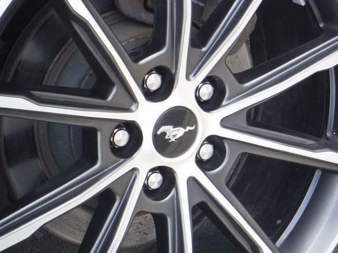 Used 2019 Ford Mustang Premium w/ Wheel & Stripe Package RWD image 5
