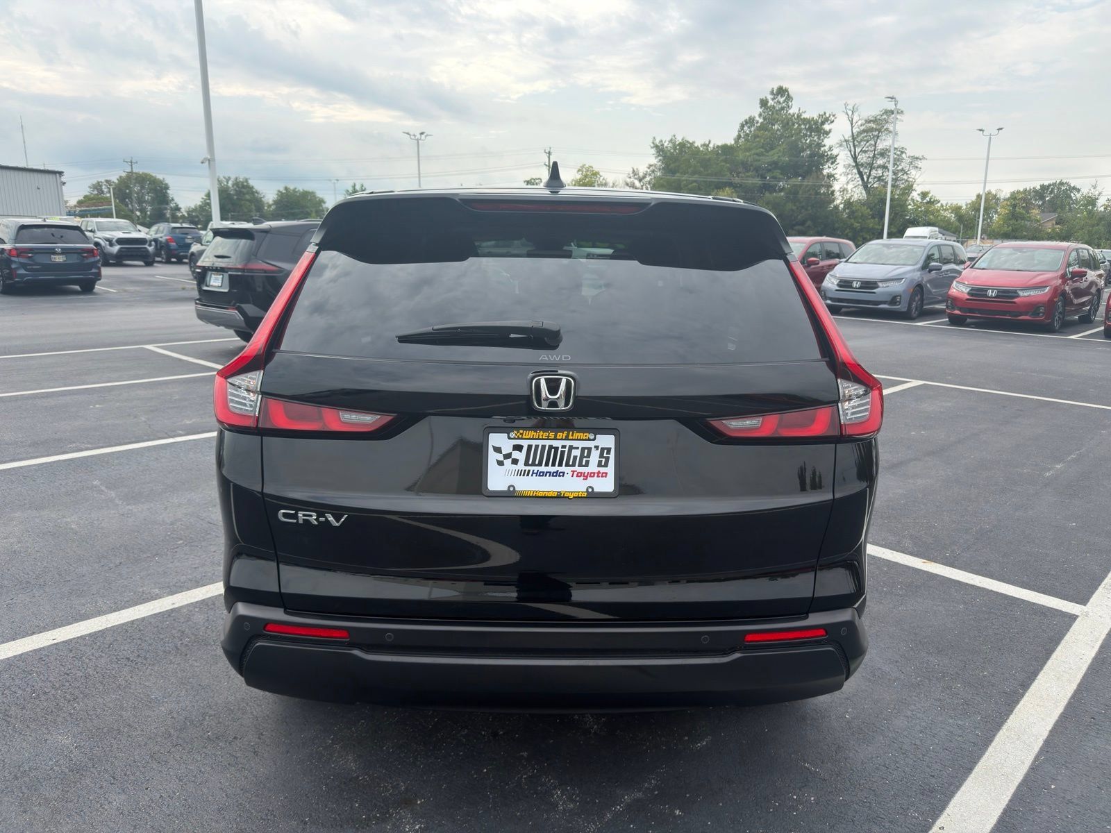Used 2024 Honda CR-V EX-L image 5