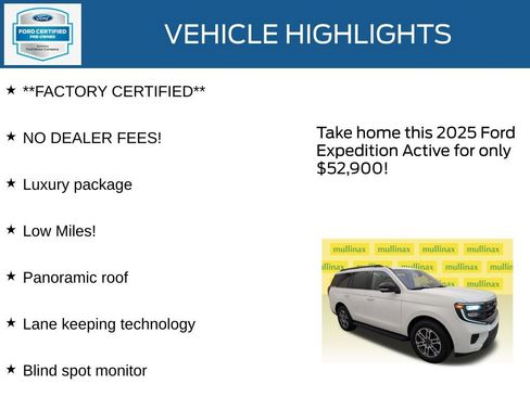 Used 2025 Ford Expedition Active RWD image 12