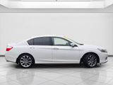 Used 2013 Honda Accord Sport image 4