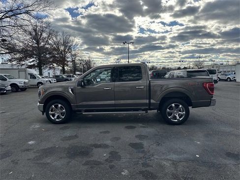 Used 2023 Ford F150 XLT w/ Equipment Group 302A High image 2