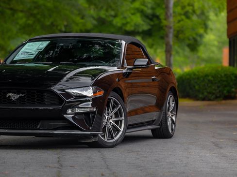 Used 2019 Ford Mustang Premium w/ Equipment Group 201A RWD image 33
