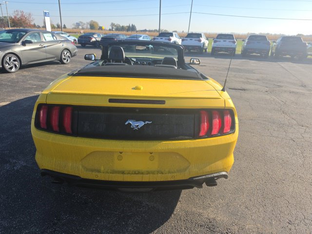 Used 2018 Ford Mustang Premium w/ Equipment Group 201A RWD image 6