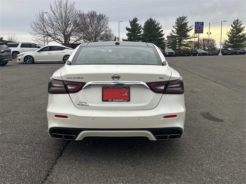 Used 2023 Nissan Maxima SL image 5