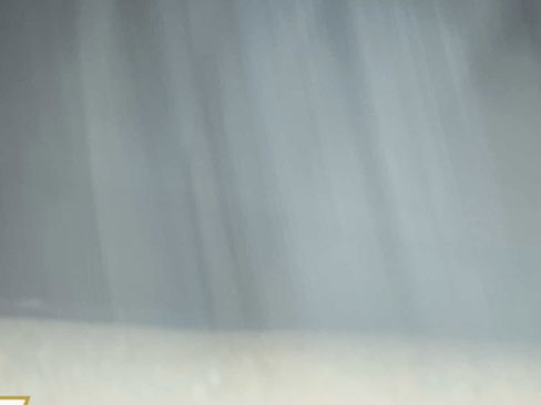 Used 2024 Honda Odyssey EX-L image 19