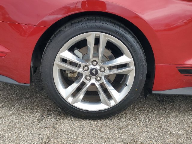 Used 2021 Ford Mustang Premium w/ Equipment Group 201A RWD image 5