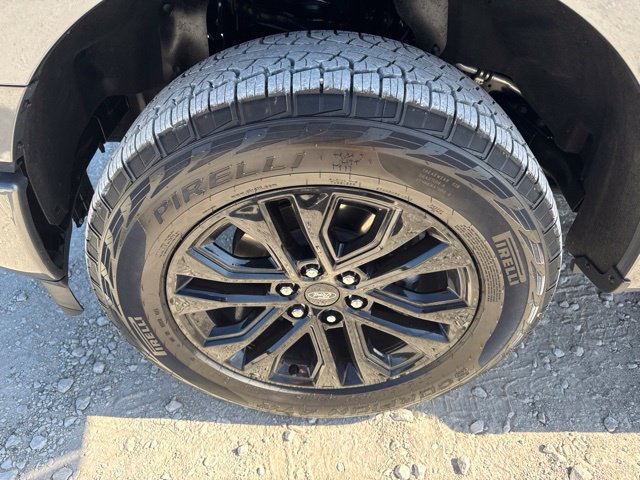 Used 2024 Ford F150 XLT w/ Equipment Group 302A MID AWD/4WD image 17
