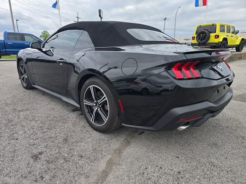Used 2024 Ford Mustang Premium RWD image 6