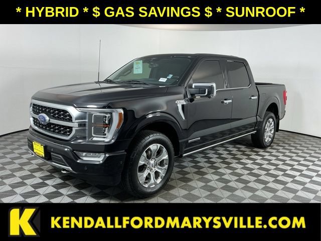 Used 2022 Ford F150 Platinum AWD/4WD image 1