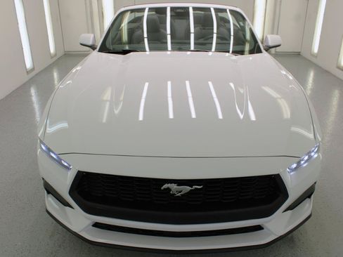 Used 2025 Ford Mustang Premium RWD image 3