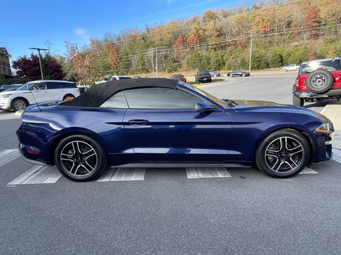 Used 2020 Ford Mustang Premium image 4