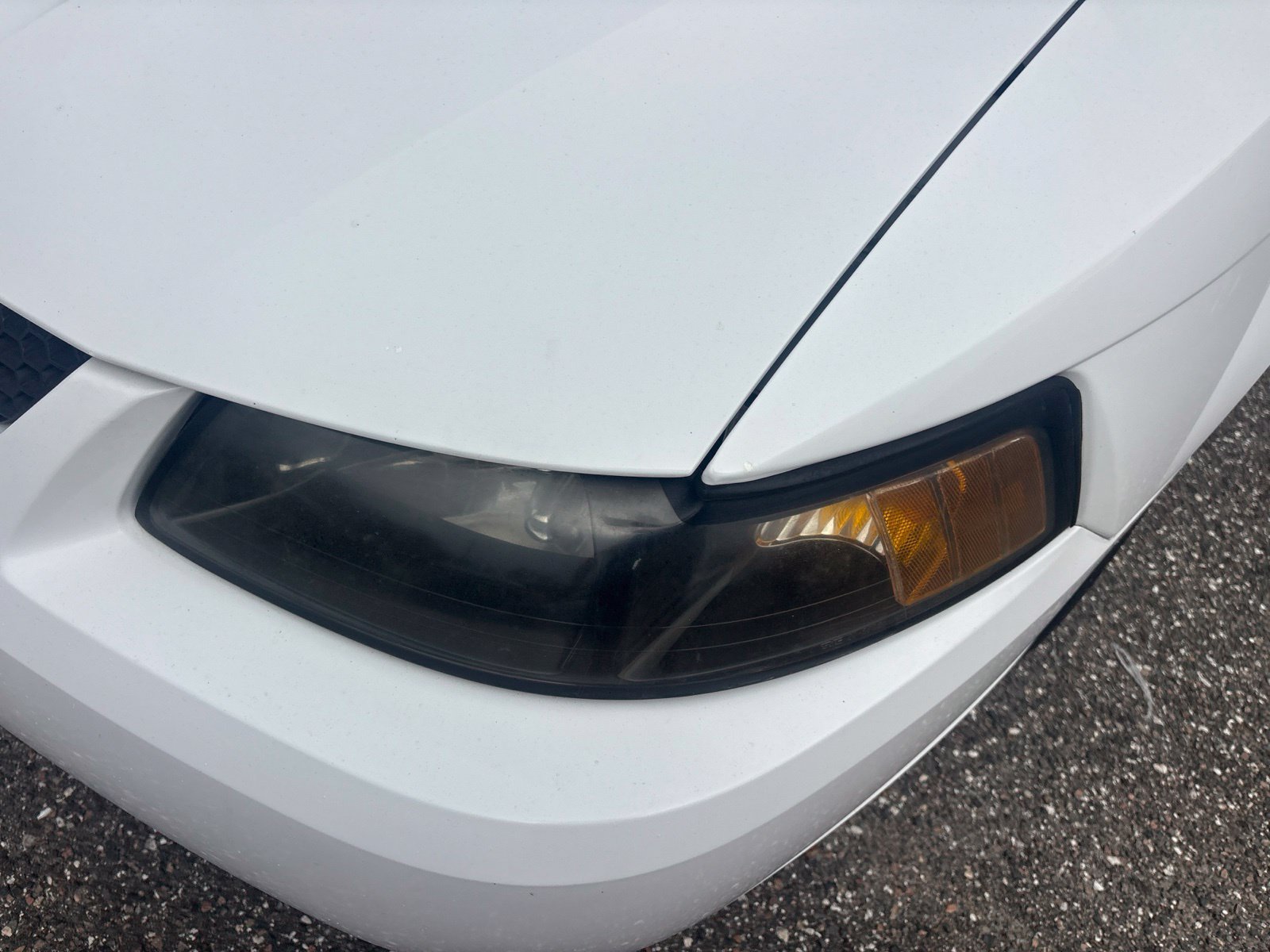 Used 2002 Ford Mustang Convertible RWD image 9