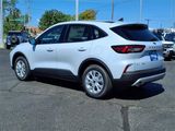 New 2025 Ford Escape Active w/ Cold Weather Package image 3