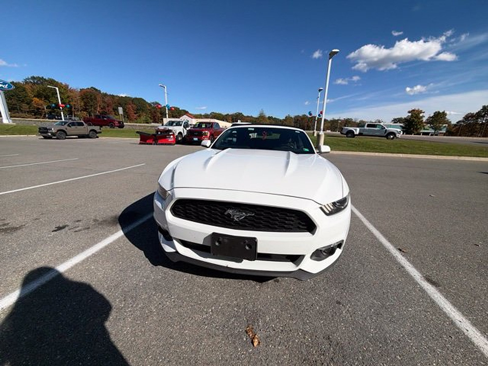 Used 2017 Ford Mustang Convertible w/ Equipment Group 051A RWD image 2