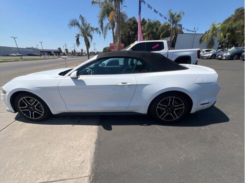 Used 2023 Ford Mustang Premium RWD image 8