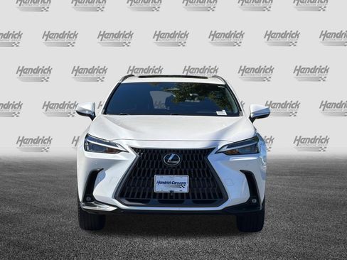 Used 2024 Lexus NX 350h AWD image 10