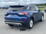 Used 2022 Ford Escape SE image 3