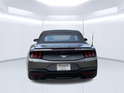 Used 2025 Ford Mustang Premium RWD image 6