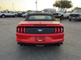 Certified 2023 Ford Mustang Premium image 4