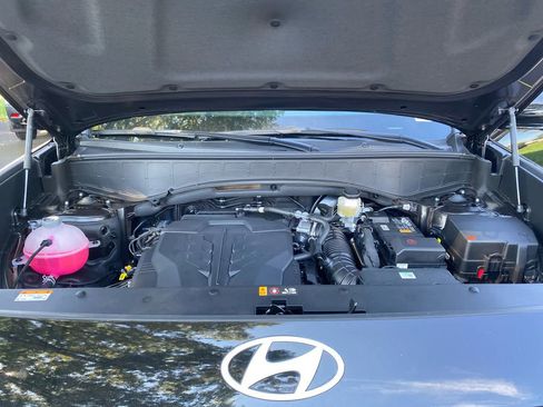 New 2026 Hyundai Palisade Calligraphy image 14