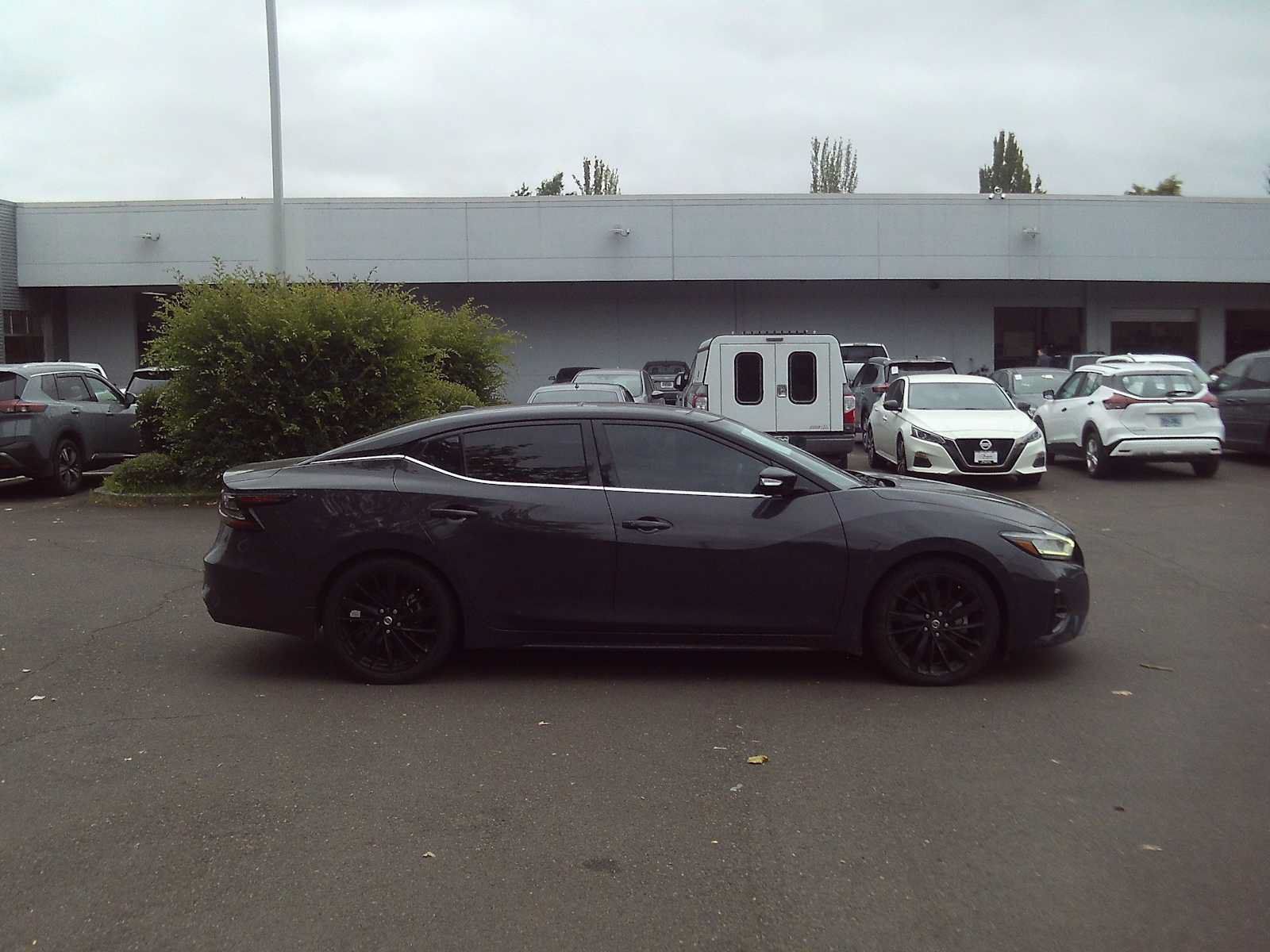 Used 2021 Nissan Maxima Platinum w/ 40th Anniversary Package FWD image 6