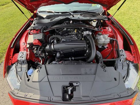 Used 2024 Ford Mustang Premium w/ 2.3L High Performance Package RWD image 13