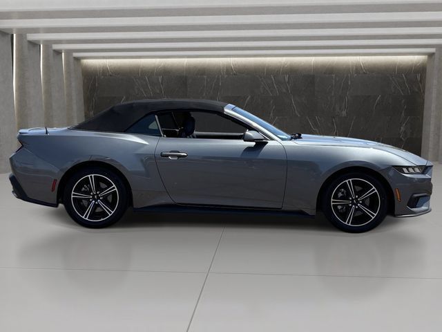 Used 2025 Ford Mustang Premium RWD image 7