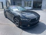 Used 2024 Ford Mustang Premium image 2