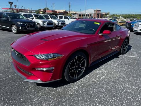 Used 2021 Ford Mustang Coupe w/ Equipment Group 101A image 5