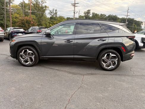 Used 2024 Hyundai Tucson Limited AWD/4WD image 4